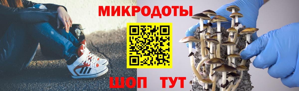 Кыштым  Псилоцибиновые грибы прущие грибы  Вход с VPN  Галлюциногенные грибы MAGIC MUSHROOMS 